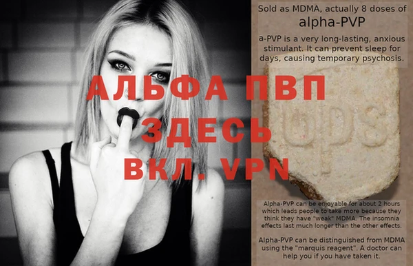 дживик Вяземский